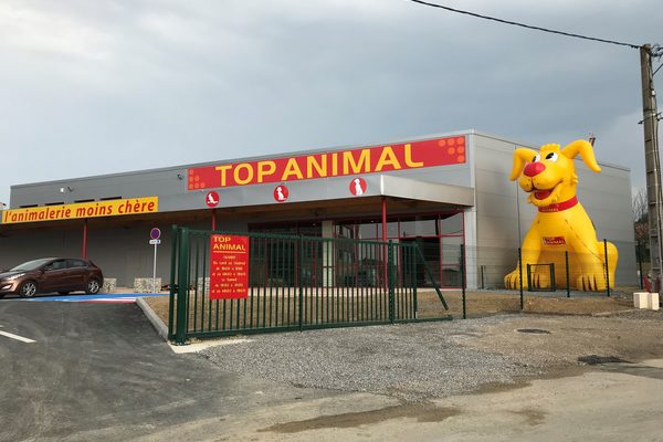 Mega Top Animal Yellow Dog Mascot Order. Kup nadmuchiwane materiały promocyjne online w JB Dmuchańce Polska