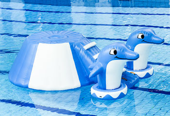 Bestel luchtdichte opblaabare eilandslide in thema dolfijn met de vrolijke 3D dolfijnen en het coole design kopen voor zowel jong als oud. Koop opblaasbare waterattracties nu online bij JB Inflatables Nederland 