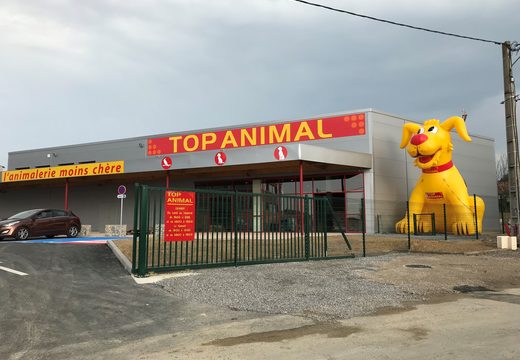 Mega Top Animal Yellow Dog Mascot Order. Kup nadmuchiwane materiały promocyjne online w JB Dmuchańce Polska
