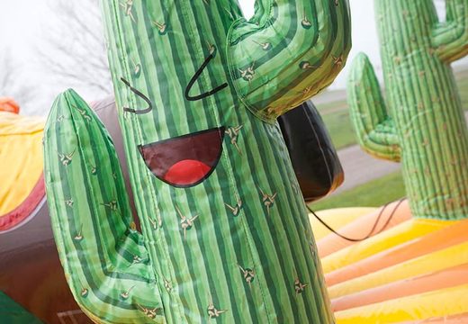 Szczegóły kaktusa na nadmuchiwanym rodeo